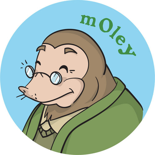 moley6969's profile picture. miami dolphins,heat.marlins.panthers,wiganwarriors,leicester tigers ,cycling, any sport!! , bars , women,touring,own boss lives in europe