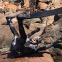 Tobin wood - @Tobinwood1 - Twitter