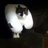 RandyPloesser's profile image