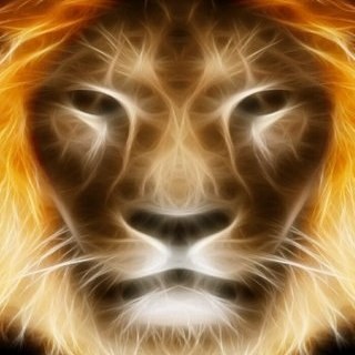 Dirk889's profile picture. 