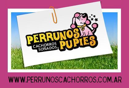 encontra el cachorro de tus sueños en nuestra web http://t.co/hkkbIXchnq , PAGANDO CON TARJ/CRED 6 CUOTAS SIN INTERES O EFECTIVO -20%, envios a domicilio