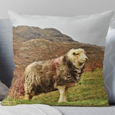 Beautiful and dramatic #art #photo #lakedistrict #cushions #lakecushions Business & Private Commission's taken contact me here.  See website for current stock.
