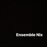 Ensemble Nix (@ensemblenix) 's Twitter Profile