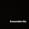 EnsembleNix's profile picture. 福岡・佐賀・大分などから歌好きが集まっています。#78佐賀全国🦑銅賞！活動拠点は福岡市/団員募集中✨入団や見学はDMへ📩📩🌟《YouTubeチャンネルhttps://t.co/JQ4yNO3dht》