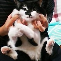 cleaner (@cleaner_and_nuu) 's Twitter Profile Photo