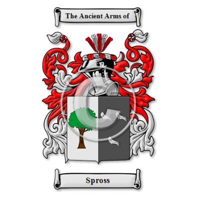 GerhardSpross's profile picture. 