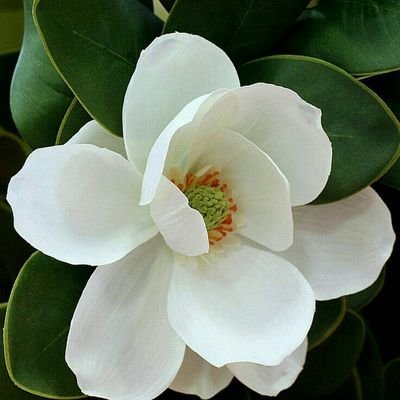 ishahrukkhan's profile picture. Hi..I am Shahruk Khan
Follow me https://t.co/7IDoW8iFLm /@ishahrukkhan