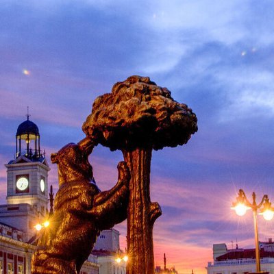 Javier01153927's profile picture. 