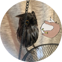 Fuji (@fuji_to_mousu) 's Twitter Profile