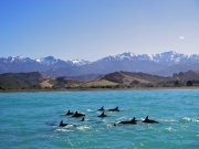 real_newzealand's profile picture. リアルニュージーランドは、世界で最高のアウトドア・フィールドで思い切り遊びたい、冒険したい、そういうあなたをサポートするトラベル・コーディネーターです。

個人旅行から、グループ旅行まで、やりたいことをやりつくす旅を、ご希望に合わせてアレンジします。

「本気で遊ぶ人の、本当のニュージーランド」