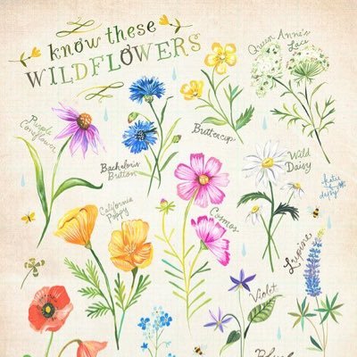 lesalie1's profile picture. 