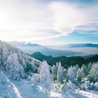 ท่องศัพท์ (@tongsupp) 's Twitter Profile