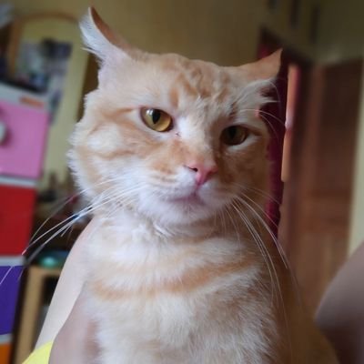 AyundiaaSerly's profile picture. wkkkkk