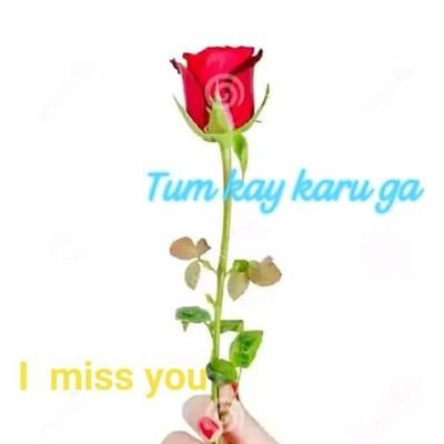 Jane34081124's profile picture. 