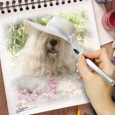 Sophie💓, Sarah💓  Scarlett💓Summer and friends. Old English Sheepdogs on Twitter...