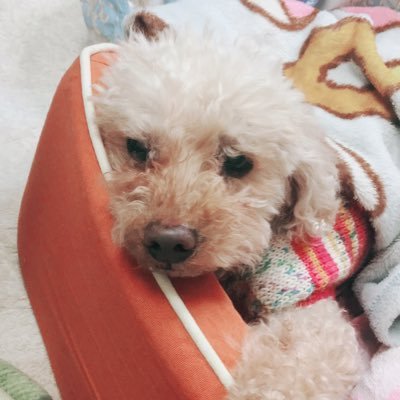 poemeena1's profile picture. 