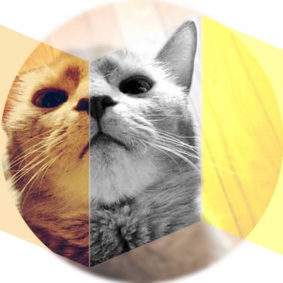 なごみるさんのプロフィール画像