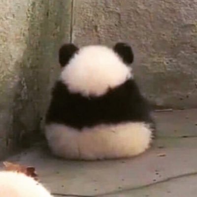 lbustos_r's profile picture. Ingeniero Comercial, Master en Marketing y Gestión Comercial, Ex Profe de MKTG, ultra fan del genio CC, amante de los animales, mamá de dos niños maravillosos