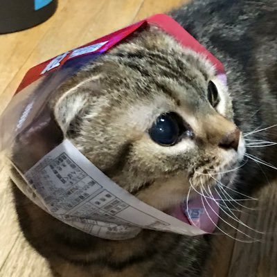 アーサーベルさんのプロフィール画像