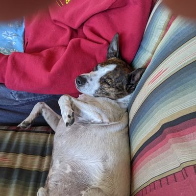 AlexMyers_008's profile picture. 