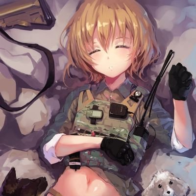 Altair0w0's profile picture. 鐵之準則 鋼之意志