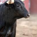 Douglas Rider - @Riderdee - Twitter