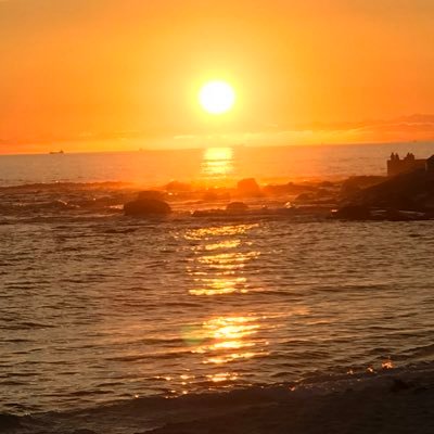 donkey_ff14's profile picture. 新根室プロレスのアロハ隊隊長です　ゲーム垢別にあります