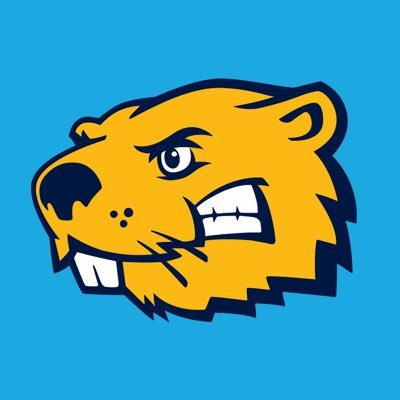 Associate Director of Athletics - Buena Vista University