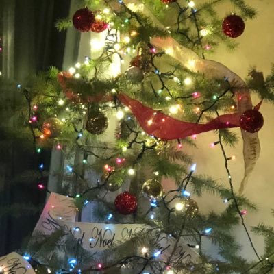 sunshinewa's profile picture. 