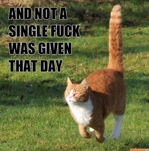 GaliumGermanium's profile picture. I am the 80,820,840,424th person to have lived since history began.