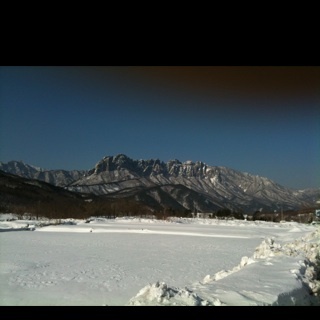 scanbsm's profile picture. 