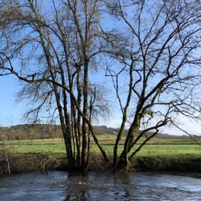 GdM_24's profile picture. 