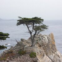 bdschorr (@bdschorr) 's Twitter Profile Photo