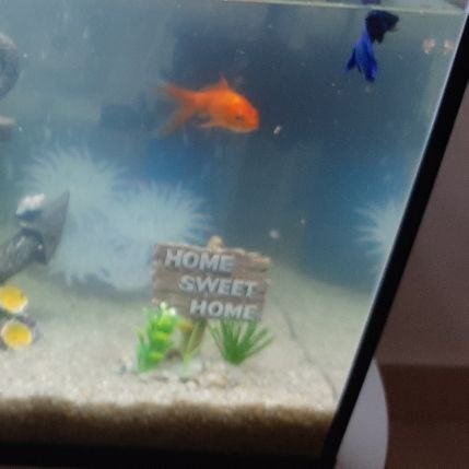 Diabate40357940's profile picture. 