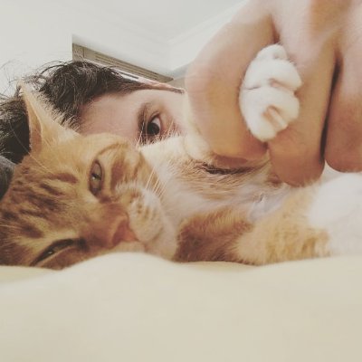 sinezty's profile picture. 