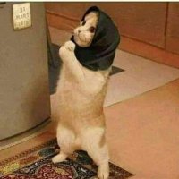 nour (@noursaad5555) Twitter profile photo