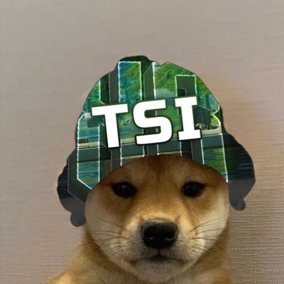 TSIEFT Profile Picture