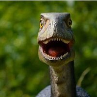Aspiring Velociraptor. (@syntaxmoot) 's Twitter Profile