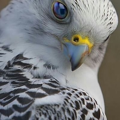 HRomero6372's profile picture. 