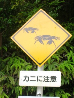 長年のサラリーマン生活に終止符を打って
とうとうバリ島へ移住してしまいました。
いったいどうなる事やら

年甲斐もなく　横乗り系の遊びにはまっています!!