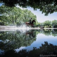 Ryosuke KAJI／馬術写真家(@photorkaji) 's Twitter Profile Photo