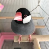 ラブ喜 (@labuyoshi) 's Twitter Profile