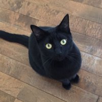 麻 (@rgy8vqjnzmhukra) 's Twitter Profile