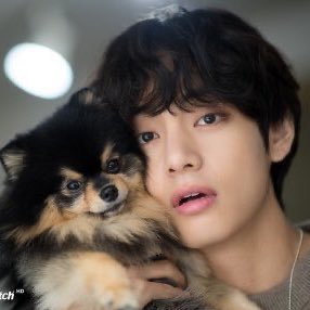 kijinyaotora's profile picture. 運命みつけちゃいました 。 テテペンです。___キム兄弟癒し。_______아프지 않았 으면 좋겠고, 정말 행복한 날들 만 가득했으면 좋겠어요 정말 사랑 해요