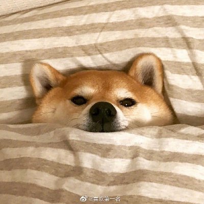 3B8a0qmPImYwDD8's profile picture. ..