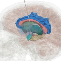 CCNY Neural Engineering Lab (@neuralengrlab) 's Twitter Profile