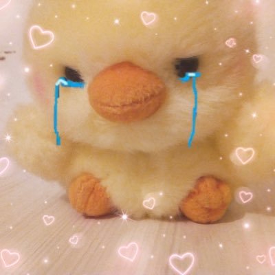 takoyakiess's profile picture.