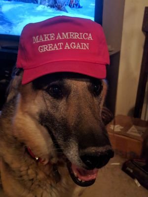 Mom, wife, 2 amazing kids, 2 amazing fur balls. MAGA. No DM's, thanks.