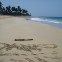 Frank Danko - @dankowvu - Twitter