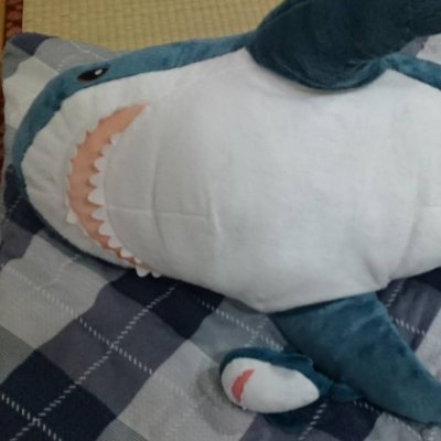 z5yUnmwunLoEXzu's profile picture. 